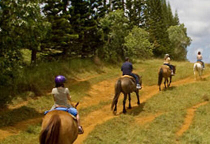 Equitazione a Fiuggi Terme